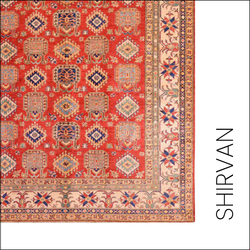 Shirvan Nomad Collection
